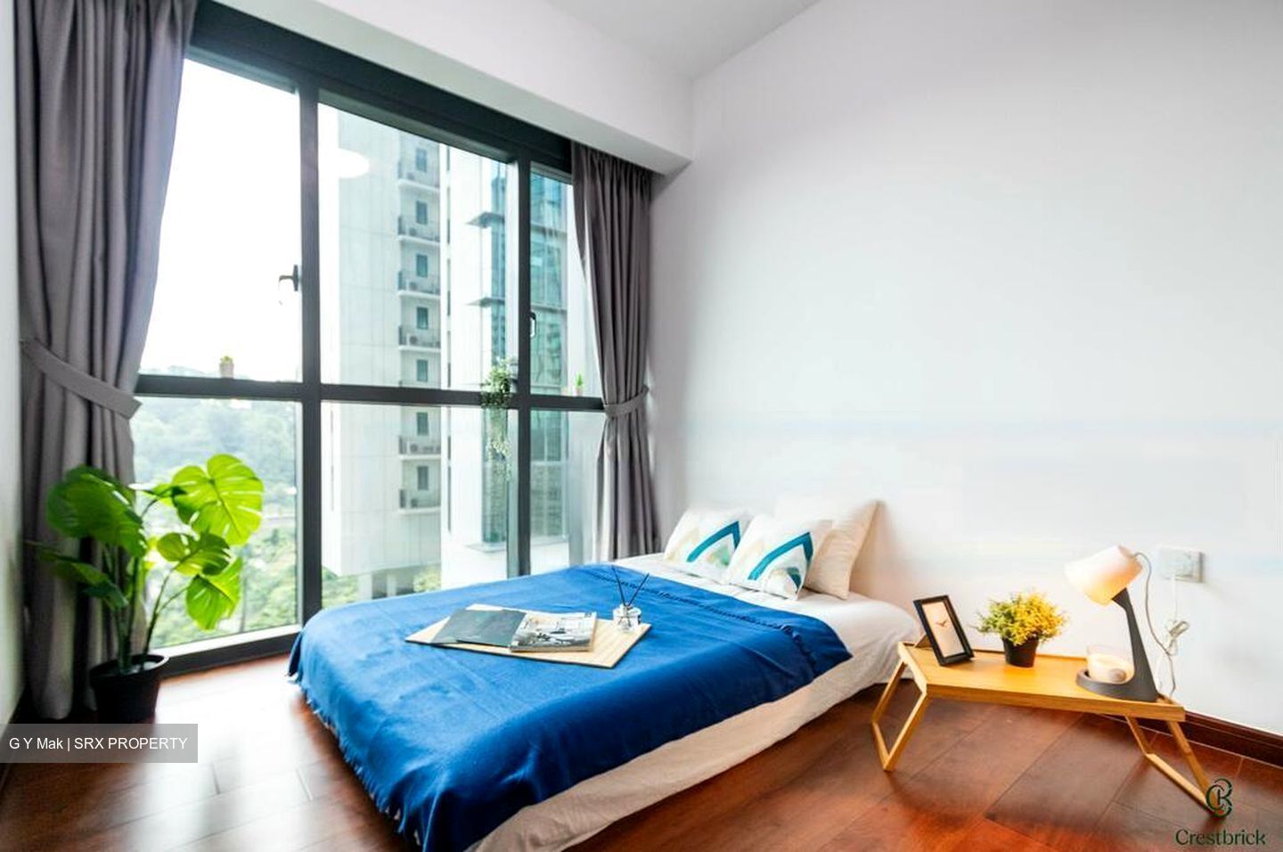 Normanton Park (D5), Apartment #457312771